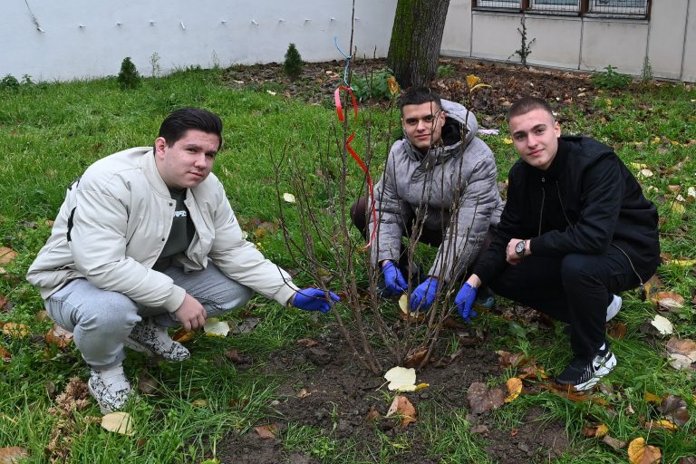 597835976_729184953583663_1957331444163856517_n